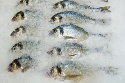prevencion de anisakis en pescados