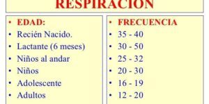 respiracion normal en adultos y ninos