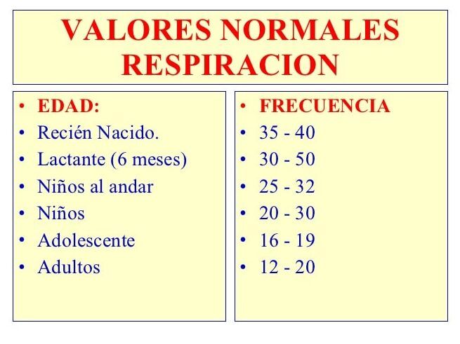 respiracion normal en adultos y ninos