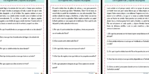 textos seleccionados para comprension lectora