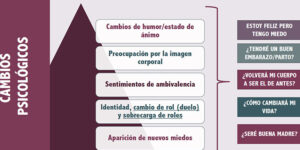 aceptacion de cambios emocionales en el embarazo