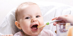 alimentos para bebes saludables y variados