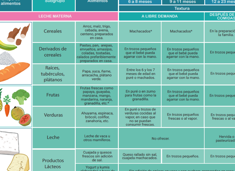 alimentos para la alimentacion complementaria