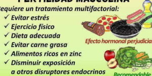 alimentos para mejorar fertilidad masculina