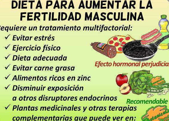 alimentos para mejorar fertilidad masculina