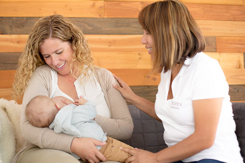 apoyo profesional en lactancia materna