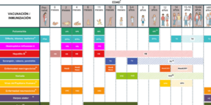 calendario de vacunacion infantil 2024