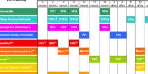 calendario de vacunacion pediatrica recomendado