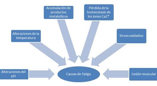 causas de la fatiga y soluciones