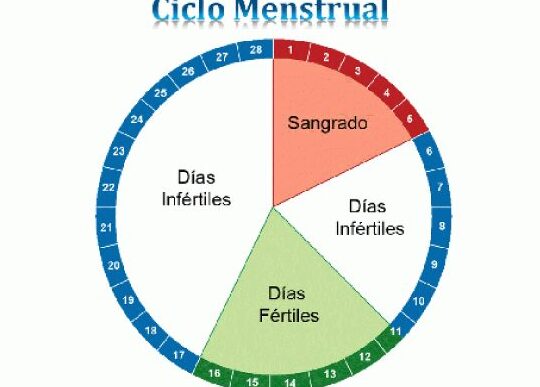 ciclo menstrual y fertilidad