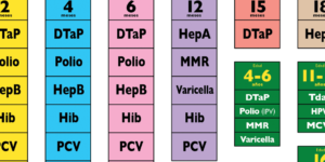 control y seguimiento de vacunas en pediatria