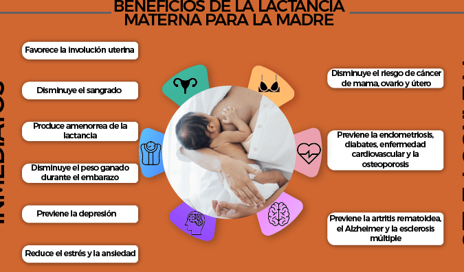 cuidados durante la lactancia exclusiva