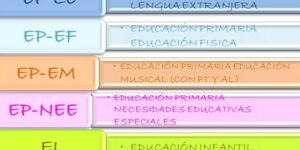 desarrollo de habilidades pedagogicas en educacion fisica