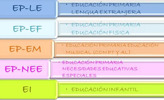 desarrollo de habilidades pedagogicas en educacion fisica