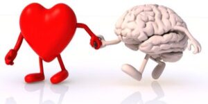 desarrollo de inteligencia emocional y cognitiva