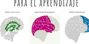 diseno universal para el aprendizaje