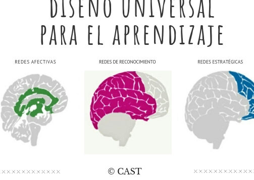 diseno universal para el aprendizaje