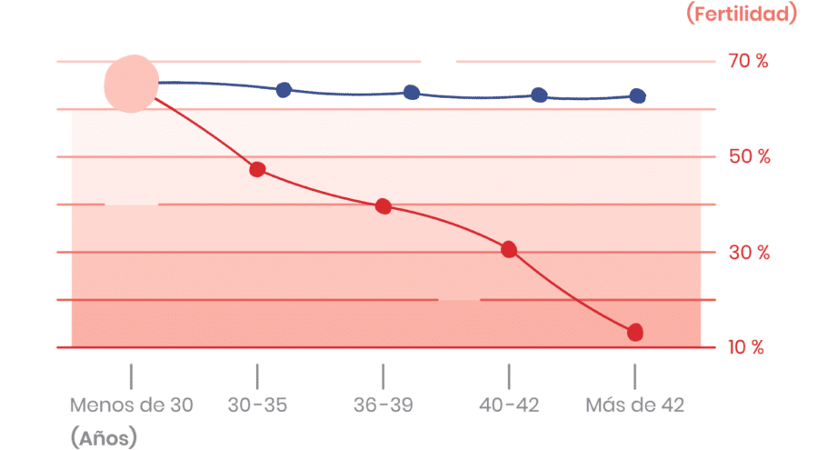 edad y fertilidad como afecta