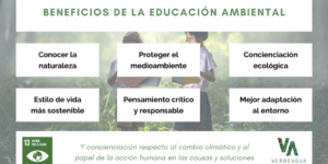 educacion ambiental en la pedagogia