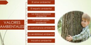 educacion etica y conservacion ambiental