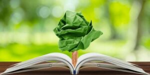ensenanza ambiental en la pedagogia