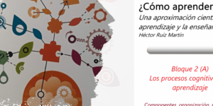 evaluacion del desarrollo cognitivo en pedagogia