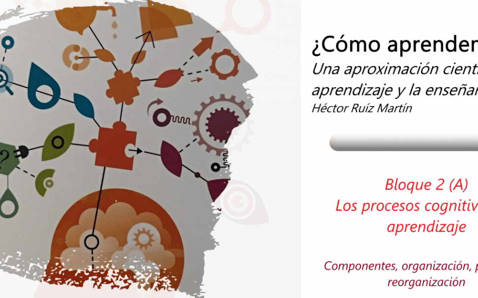 evaluacion del desarrollo cognitivo en pedagogia