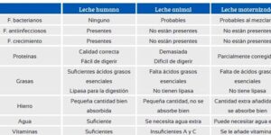 factores de produccion de leche materna