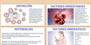 factores que influyen en la concepcion