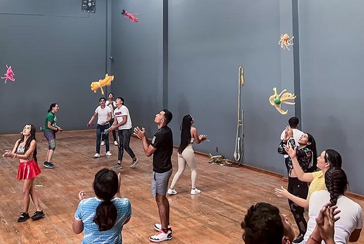 implementacion de la diversificacion pedagogica en clases de deporte