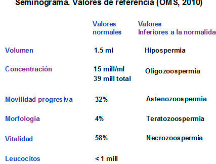 importancia de estudios de fertilidad masculina