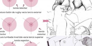 importancia del vaciado mamario en lactancia