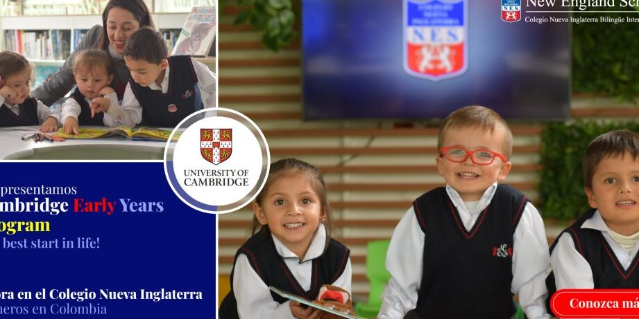 innovacion pedagogica en programas bilingues