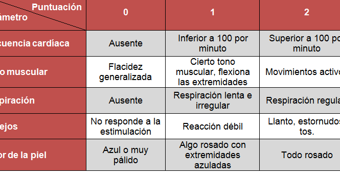 pautas de seguimiento del desarrollo