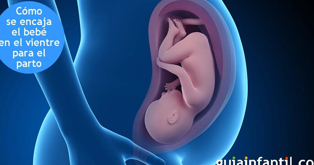 posicion ideal para el bebe