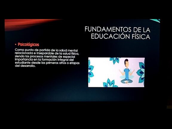 principios clave en educacion fisica