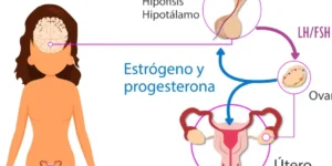 problemas hormonales y fertilidad