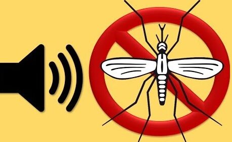 proteccion contra picaduras de insectos