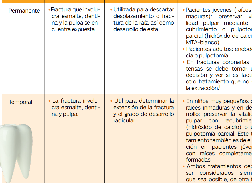 protocolo de tratamiento para traumatismos dentales