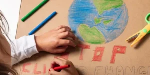 proyectos educativos enfocados en medio ambiente