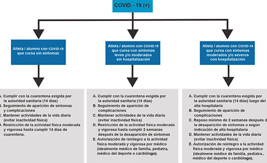 reinicio seguro de la actividad fisica