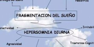 relacion entre sueno y comportamiento