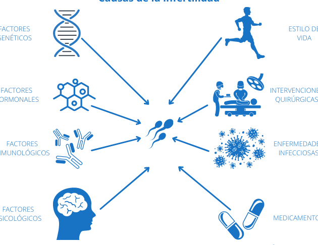 salud reproductiva y factores de infertilidad
