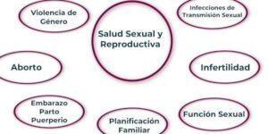 salud reproductiva y prevencion de problemas