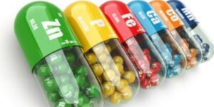 suplementos recomendados en el embarazo