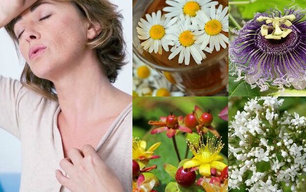 tratamientos de sanacion natural para madres