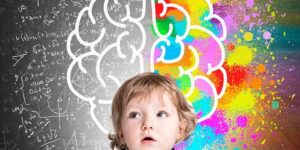 desarrollo del cerebro en bebes