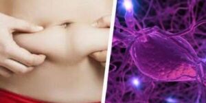desordenes hormonales y fertilidad