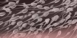 espermatozoides sanos y saludables