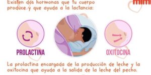 produccion de oxitocina en lactancia